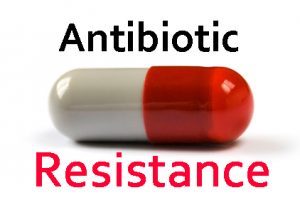 WHO’s Surveillance data reveals high levels of antibiotic resistance  worldwide