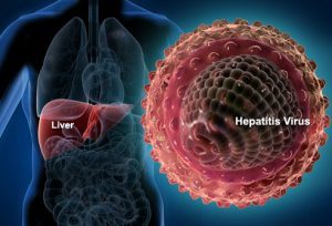 Scientists a step closer to drug treatment for hepatitis B