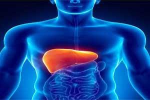 Vasopressin and nitroglycerin combo reduces bleeding during liver surgery