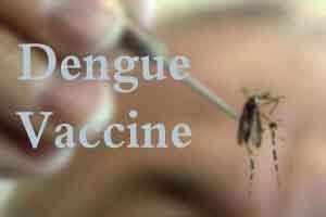 New tetravalent dengue vaccine looks promising in Phase 3 Trial