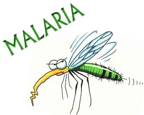 Malaria parasite may trigger human odor to lure mosquitoes