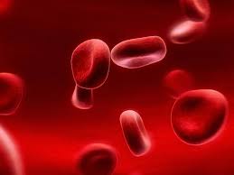 Incidental lymphopenia linked to high mortality risk from any cause