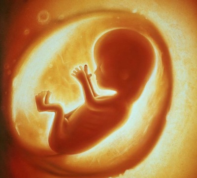 Now parents can see their unborn babies in 3D VR models