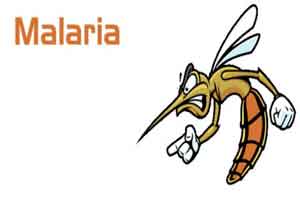 Super malaria which cannot be killed by any drug