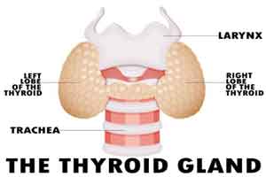 Routine hormone therapy has no benefit in subclinical Hypothyroidism