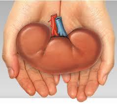 Doctors at PGIMER conduct first  simultaneous liver, kidney transplant