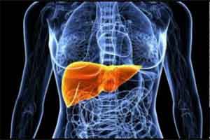 DPP4 inhibitors may be used for obesity and fatty liver disease in future