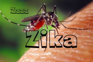 Zika infection caused by one virus serotype: study