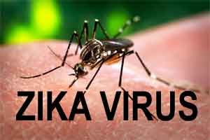 Opthalmologists Beware: Zika virus can persist in eyes, spread through tears