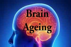 Exercise to slow down brains ageing clock by 10 years