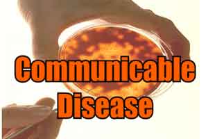 Communicable diseases rise 32 perccent in 5 years, spending up 7 percent