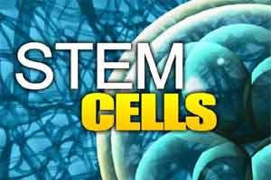 Novel method to harvest stem cells developed