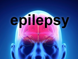 Changes in heart activity may predict epilepsy onset