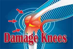 Most meniscal tears of knee require physical therapy not surgery
