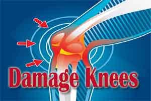 Gut microbiome may be causing Osteoarthritis in obese patients