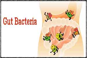 High-fiber diet & select gut bacteria greatly reduce blood sugar in T2DM