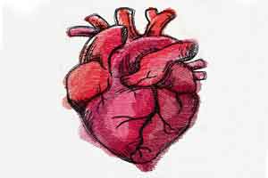 Stem Cell therapy to help heart patients