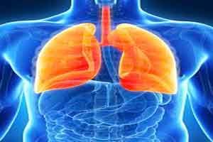 Ceftazidime and Avibactam Combo is new treatment for nosocomial Pneumonias