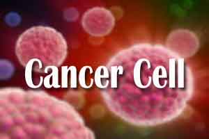 Tumour hardness may develop cancer cells