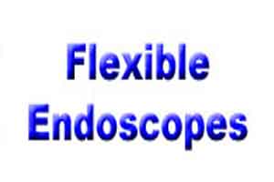 Guideline for processing flexible Endoscopes 2016