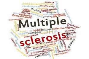 Computational simulations suggest multiple sclerosis is a single disease