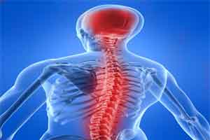 AMRI introduces advanced system for spinal defects