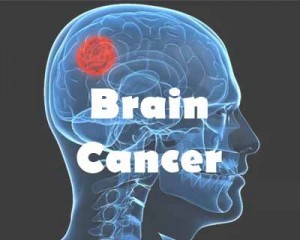 A unique amino acid for brain cancer therapy