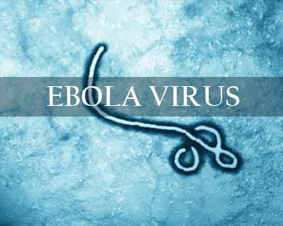 Human semen can carry Ebola virus 9 months after recovery