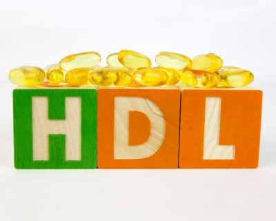 HDL protection dependent on two other blood lipids: Study