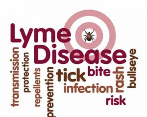 Essential oils from garlic alleviate symptoms of Lyme disease