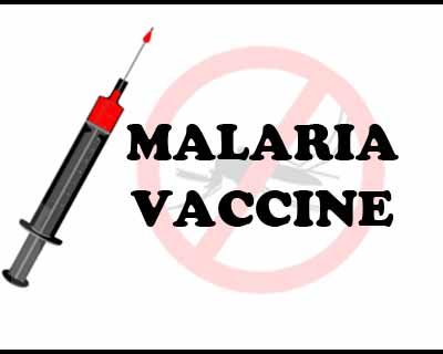 More effective malaria vaccine one step closer