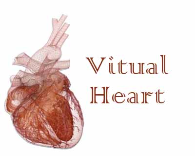 3D Virtual Heart to Predict Sudden Cardiac Death Risk