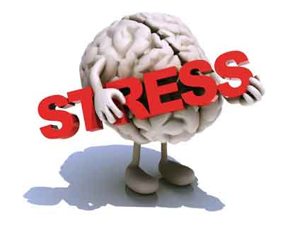 Link Uncovered: Chronic stress decreases fertility by increasing hunger hormone