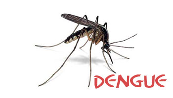 Children hospitalized for dengue often given unnecessary antibiotics