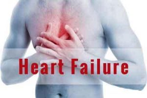 Heart failure is associated with loss of important gut bacteria