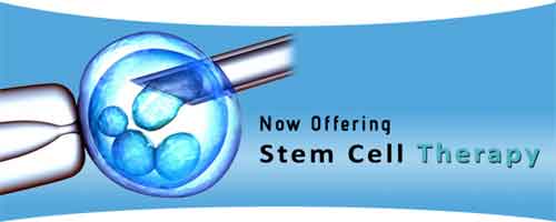 AIIMS to start a clinical trial on stem cell therapy