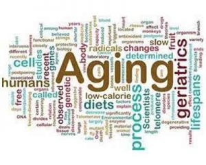 Caloric restriction can delay aging