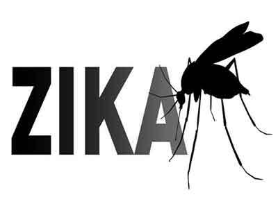 Zika no threat to plasma derived drugs, says EU regulator