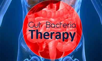 Gut bacteria therapy may help reduce weight gain