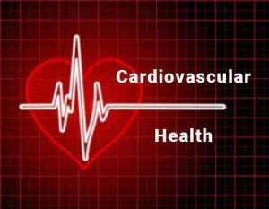 Management of cardiovascular diseases during pregnancy: ESC Guidelines