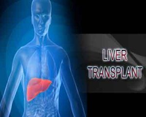 Delhi : 2 month baby undergoes successful liver transplant