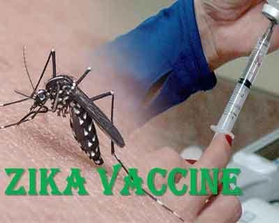 New Zika vaccine effective in preclinical trials
