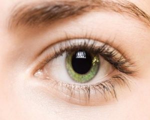 New retinal imaging technique to aid in faster assessment of eye ailments