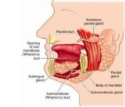 Submandibular Sialadenitis - Standard Treatment Guidelines