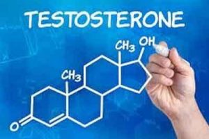 Mens testosterone levels largely determined by environment not genetics