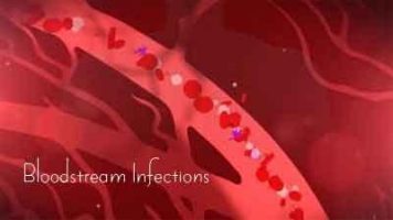 Super bugs study reveals complex picture of E. coli blood stream infections
