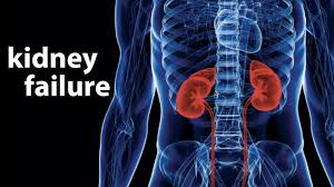 Ciprofloxacin induces acute kidney failure-A case report