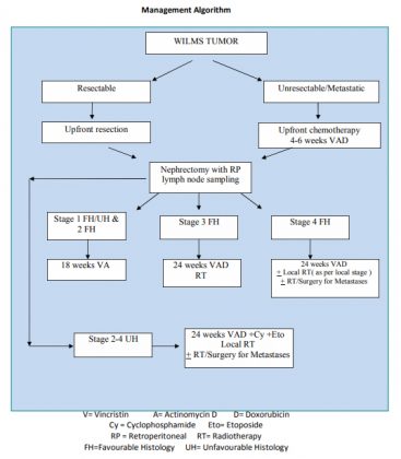 Wilms tumour- GOI Standard Treatment Guidelines