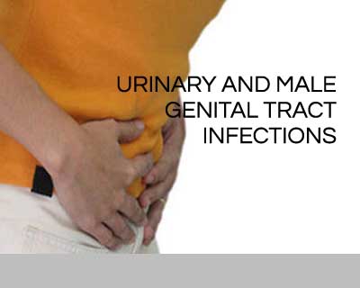 Urinary and male genital tract infections-Standard Treatment Guidelines