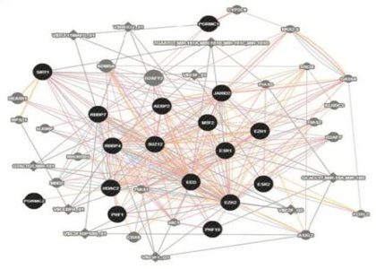 Premenstrual dysphoric disorder linked to sex hormone sensitive gene complex Premenstrual dysphoric disorder linked to sex hormone sensitive gene complex